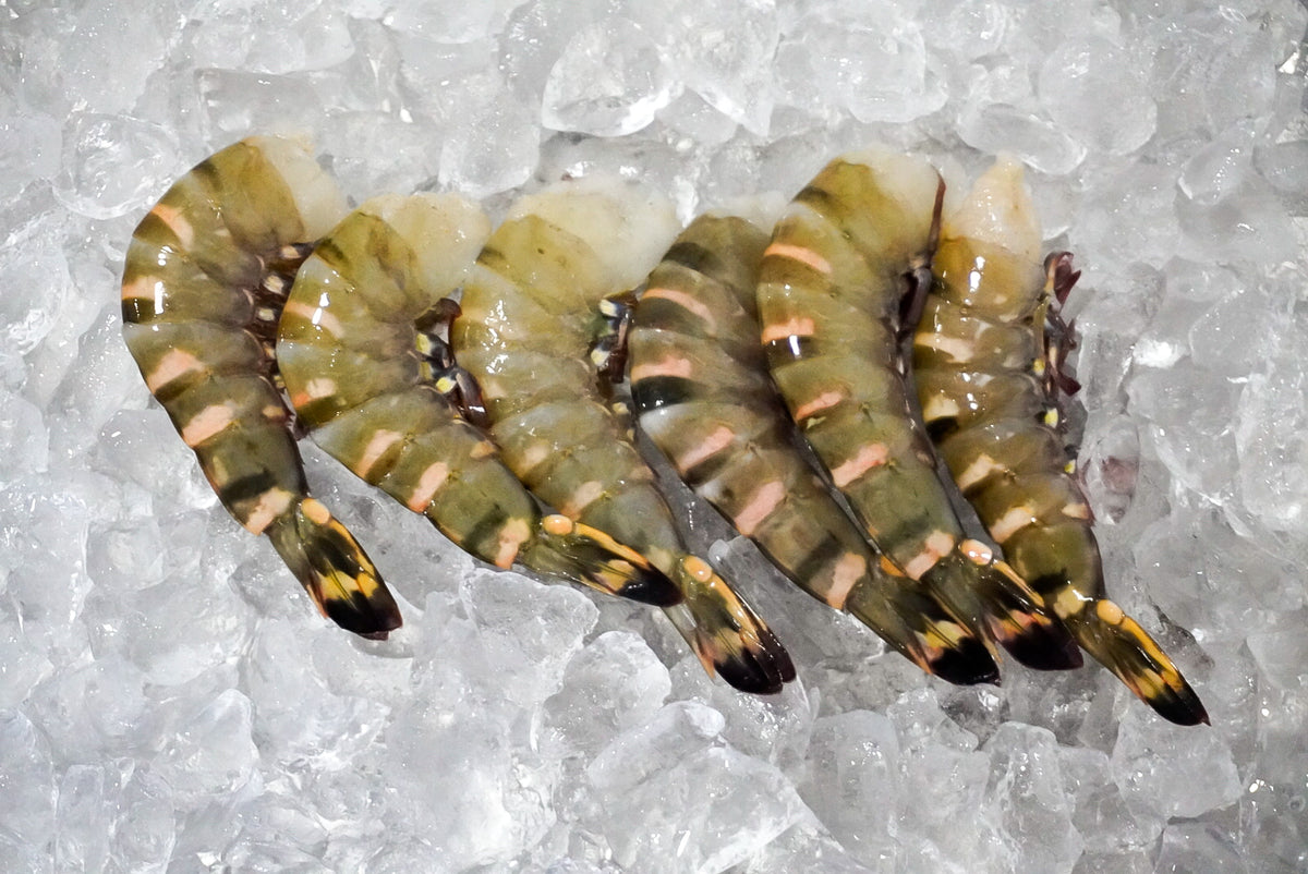 Langostino Tigre (Lb)