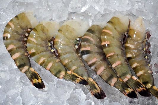 Langostino Tigre (Lb)