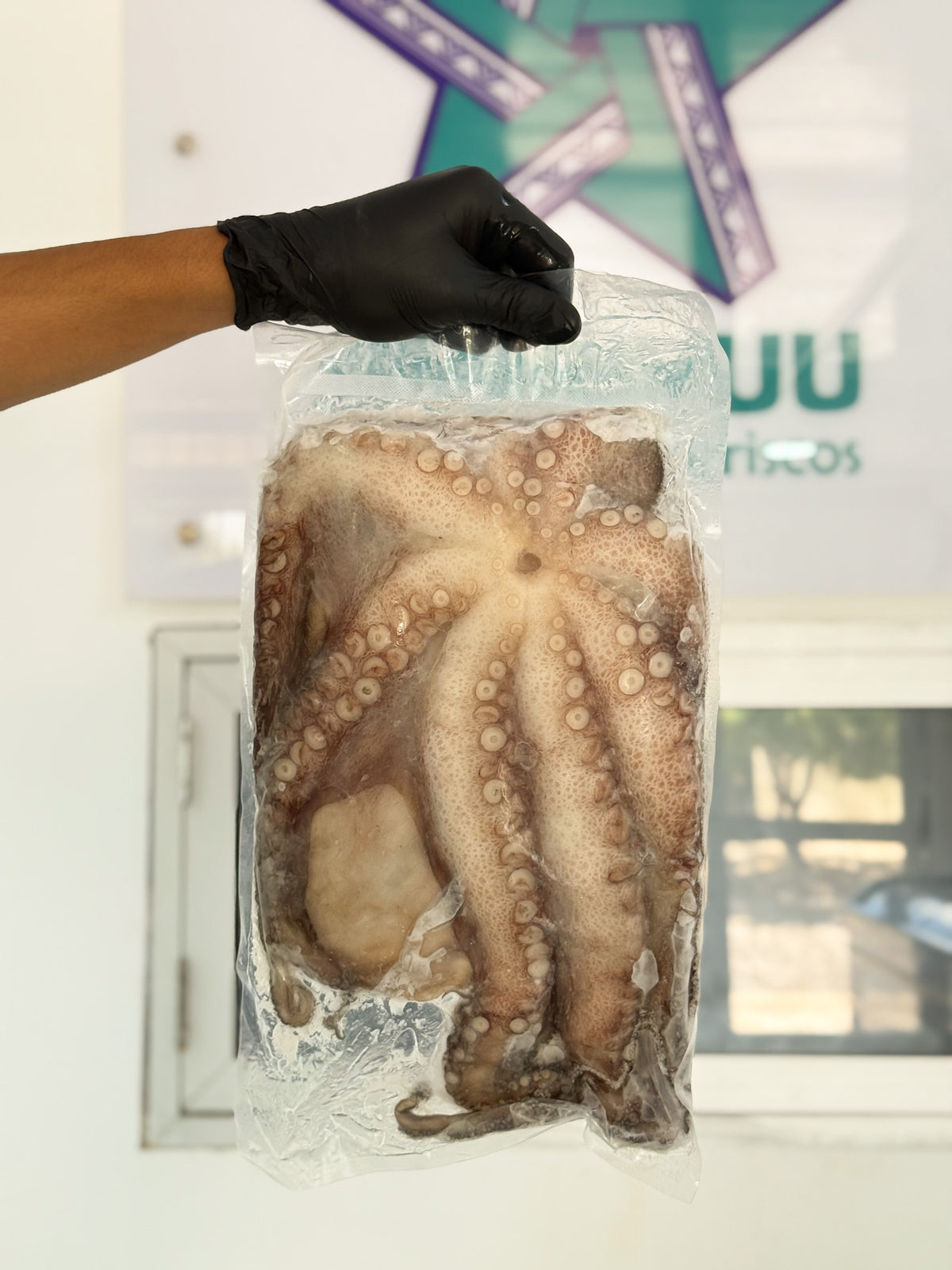 Pulpo criollo * 1 kg