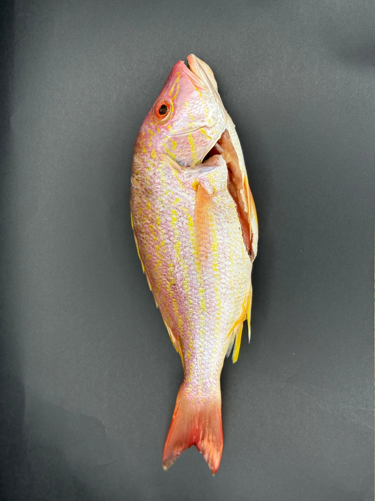 Pargo Rojo * unidad