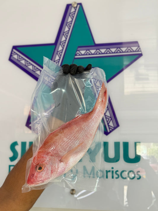 Pargo Rojo * unidad