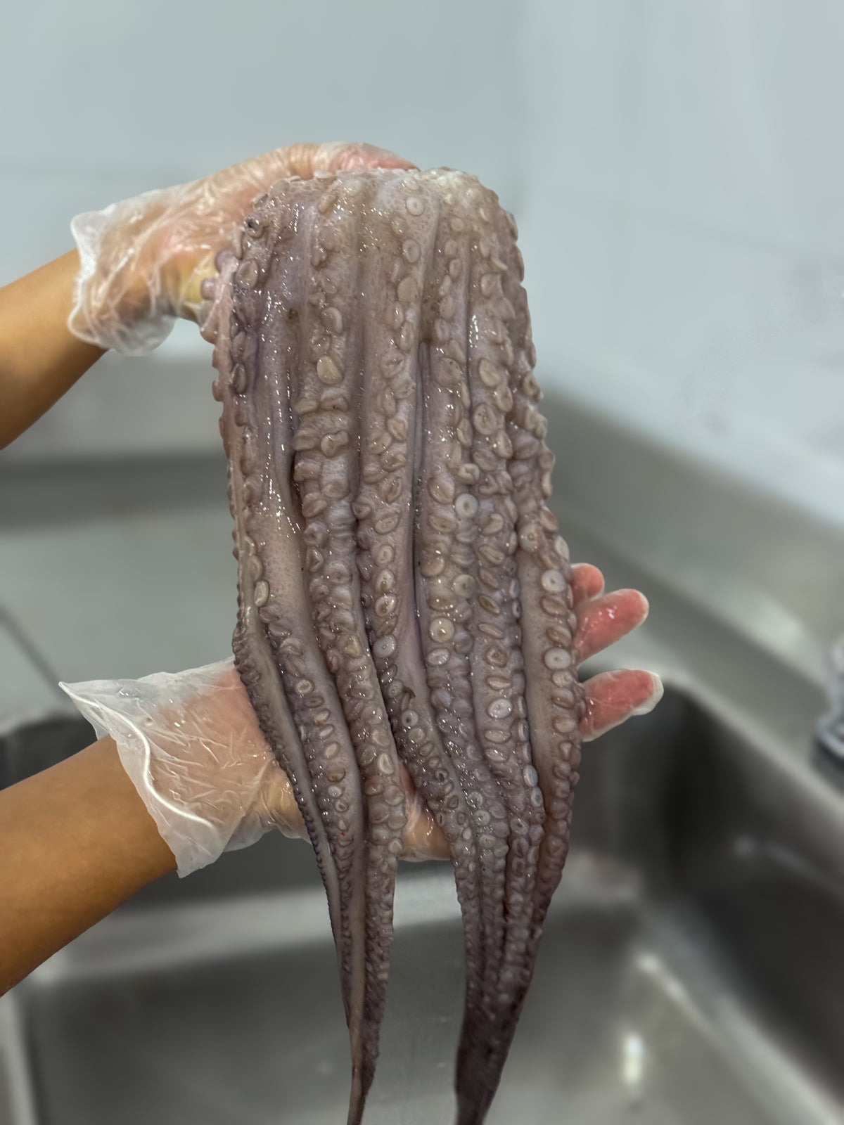 Pulpo criollo * 1 kg