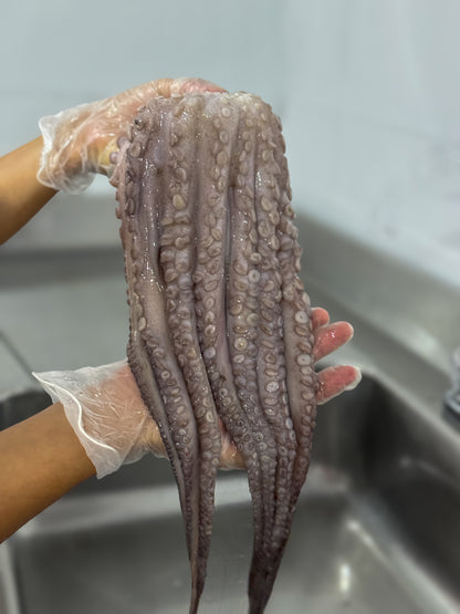 Pulpo criollo * 1 kg