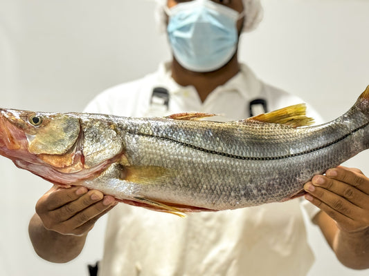 Róbalo platero * unidad